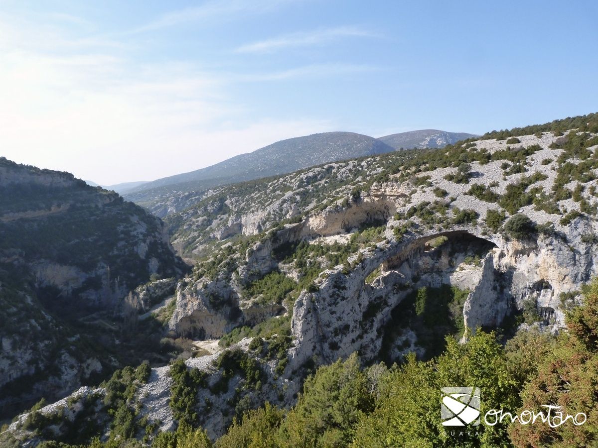 GuaraSomontano's tweet photo. En el #DiaEuropeoParquesNaturales os invitamos a conocer nuestro Parque Natural de la Sierra y Cañones de #Guara 🦎🌳🏃 https://t.co/j1AuyRU6ky https://t.co/RKlp0twSHQ