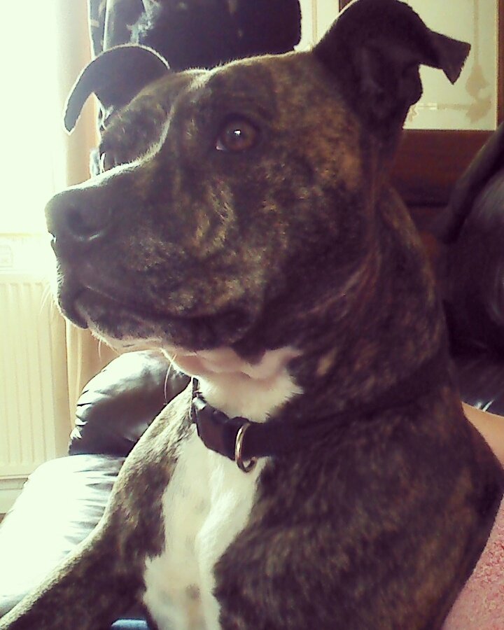 Jamie gilbert tweet media