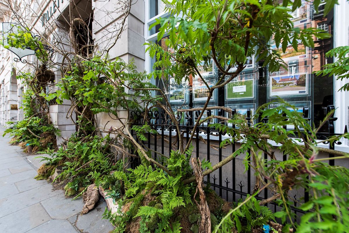 Hamptons_HR's tweet photo. Vote for #HamptonsInternational's #ChelseaInBloom entry! #ChelseaFlowerShow2017 @Hamptons_SlSq x @ShaneConnollyCo https://t.co/7taP73tNwt https://t.co/cX93PH76CB
