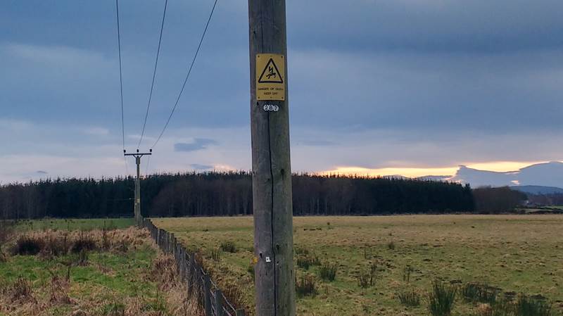 ssencommunity's tweet image. If you notice any damage to our overhead lines or underground cables, never attempt to inspect it yourself or ignore it! 

Contact us immediately by dropping a DM of your location and we'll have our qualified engineers out to make it safe. 

#SafetyFirst