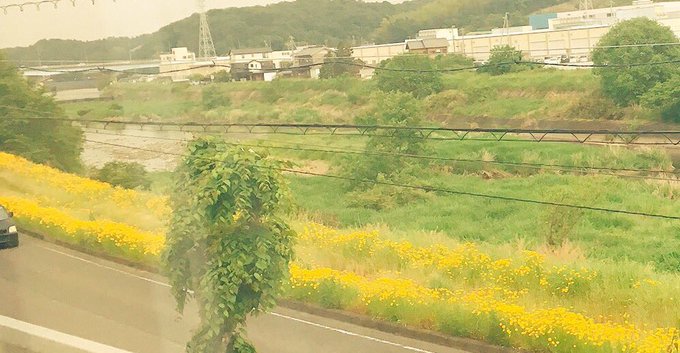 河川敷のtwitterイラスト検索結果