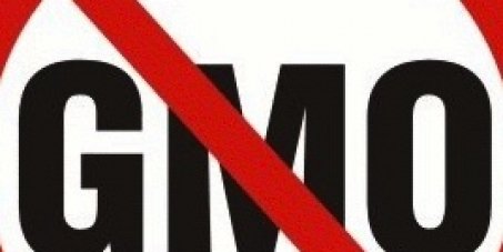 GRAIN_org's tweet photo. Please help #Ecuador keep GM-free! https://t.co/hoiN8Q6u0M #NoGMOs @MashiRafael https://t.co/kVTav9vboT