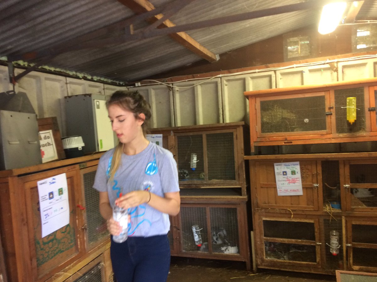 Steven Milford tweet media