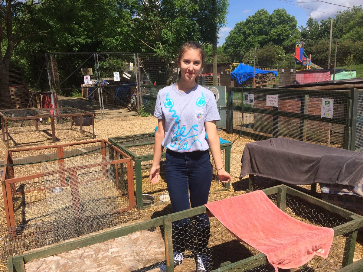 Steven Milford tweet media