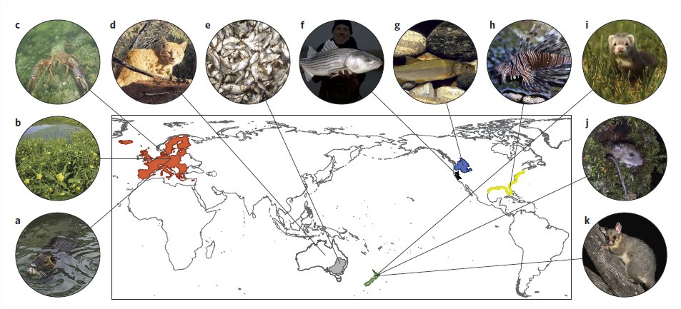 Évolution & Diversité Biologique (@edb_lab) on Twitter photo New comment with @JCucheFish in <a href="/NatureEcoEvo/">NatureEcoEvo</a> Confronting the risks of large-scale invasive species control bit.ly/2qfI866 New comment with @JCucheFish in <a href="/NatureEcoEvo/">NatureEcoEvo</a> Confronting the risks of large-scale invasive species control bit.ly/2qfI866