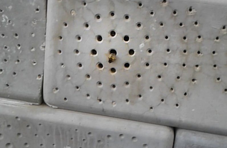buginn's tweet photo. So happy we can share our proven technology: https://t.co/ISlEMsQAYP Bees are using our Bee-hotel! #buginn #innovation #bees #ecodesign https://t.co/a6tBusgwJp
