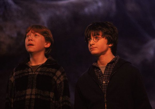 Hogwartssite's tweet image. Tal día como hoy de 1993, Harry y Ron siguen las arañas en el Bosque Prohibido y se encuentran a Aragog.