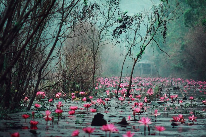 VietnamTypical's tweet photo. Poetic Beauty of Yen Stream in Autumn 🌷🌷🌷
#Yenstream #Perfumepagoda #hanoi #Vietnam https://t.co/hDTcsTJHNb