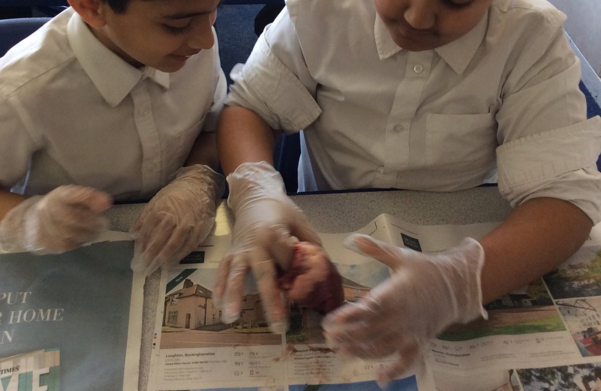 THSHead's tweet photo. Year 5 &amp; 6 having fun dissecting a heart 🤢 https://t.co/9VtLICfcLh