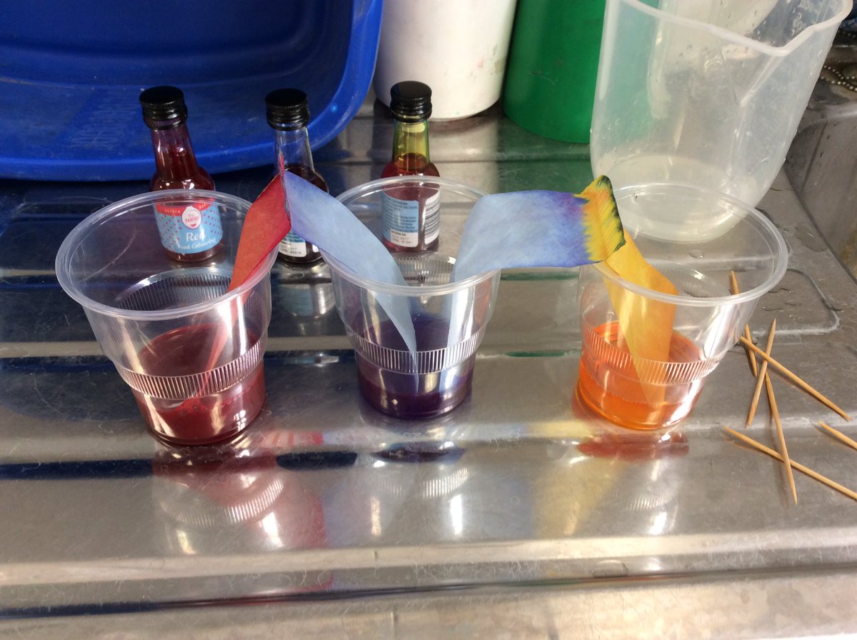 THSHead's tweet photo. Having fun with food colouring 🌈 https://t.co/dWf6zlNM9X