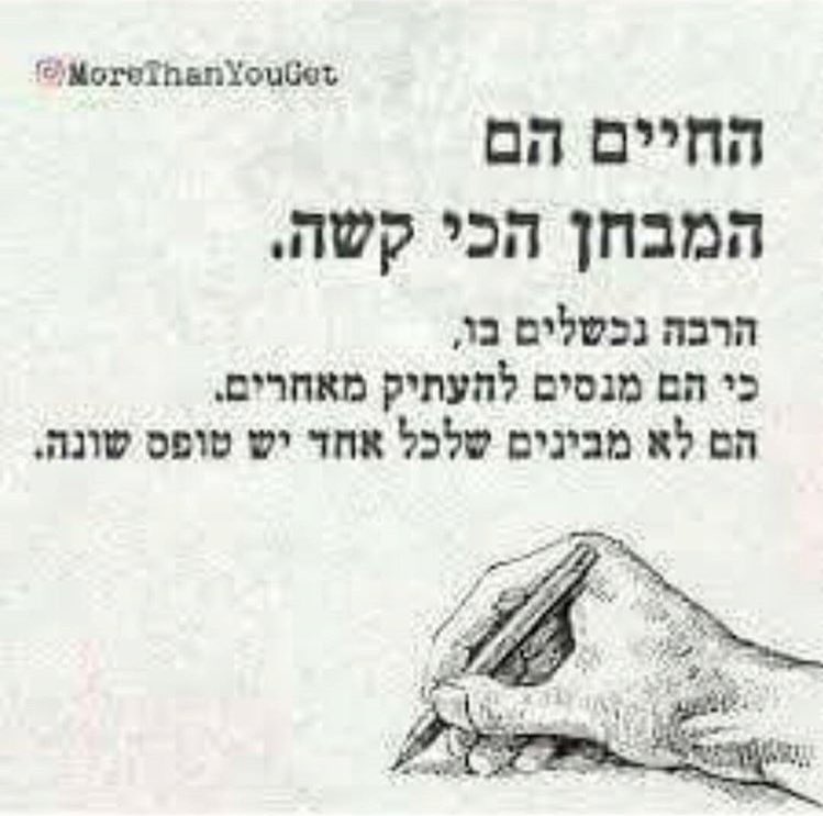 דובדוב tweet media