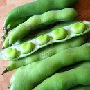 EcoAgricultor's tweet photo. Consejos para el cultivo ecológico de las habas https://t.co/2FdbAuOqd7
_ #HuertoEcológico https://t.co/0LEwpRAvC8