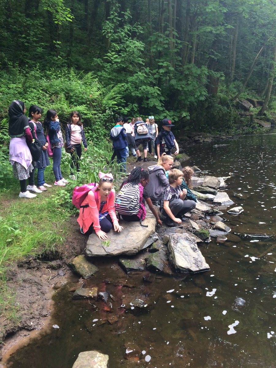 floweryfieldpri's tweet photo. Garlic plants and skimming stones. #greatoutdoors #mellor #residential #5LM https://t.co/FG3jFoBwlj