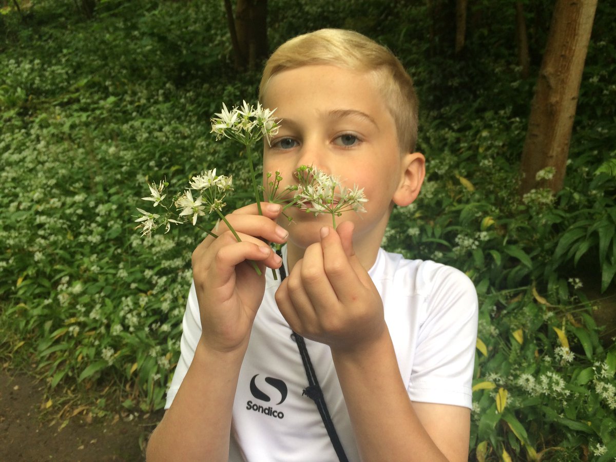 floweryfieldpri's tweet photo. Garlic plants and skimming stones. #greatoutdoors #mellor #residential #5LM https://t.co/FG3jFoBwlj