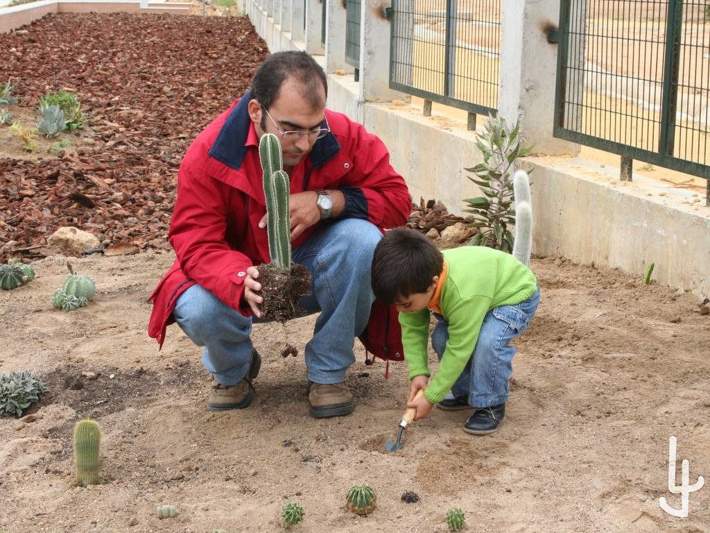 Suculentascom's tweet photo. Nuevo post (Trasplantes) publicado en: https://t.co/7TYmAJhgU8 - https://t.co/UHKVBKuILH https://t.co/suXQYGgd7J