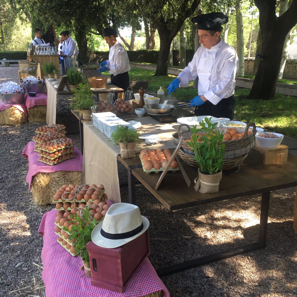 Mateoandco_es's tweet photo. Hoy trabajamos desde este maravilloso jardín ingles a 10km de Madrid. #lacasadeMonico reinaugurada. Impresionante!! https://t.co/kD7ff3AwxR