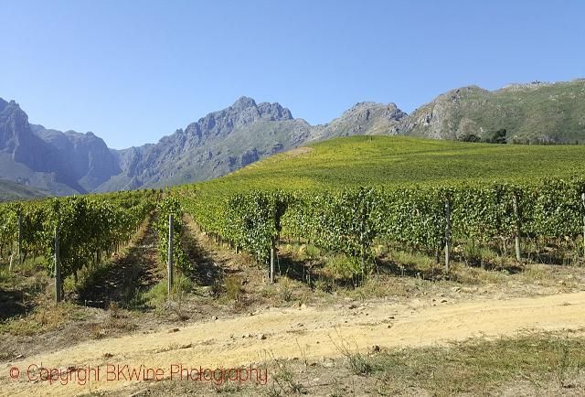creativefabien's tweet photo. A New Generation Of 'Rebel' Wines From South Africa https://t.co/qb261YPNZD #winelover #wine #travel https://t.co/gYH7452iGF