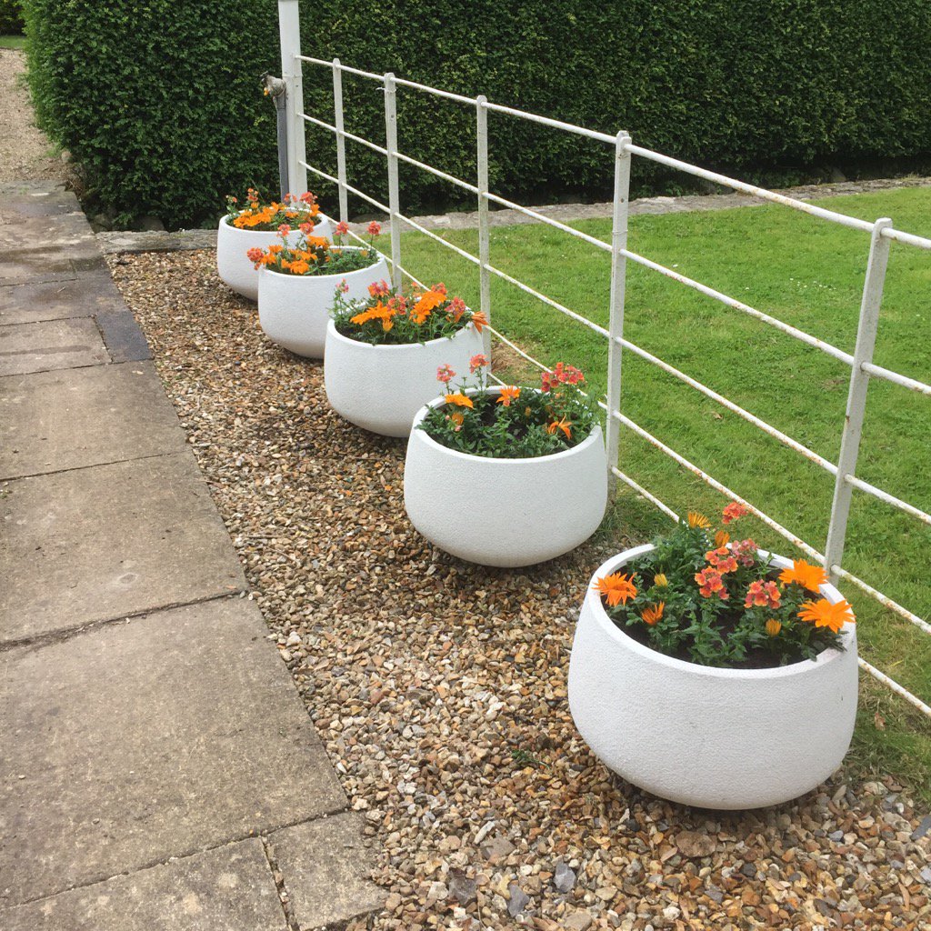 weedsgm's tweet photo. Plant Potting #draytonmanor #orange https://t.co/SjkzKeVqXu