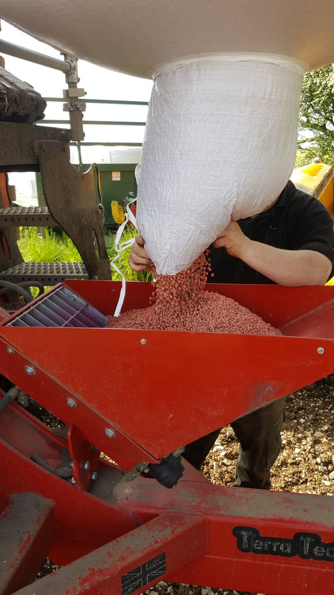 robertjyardley's tweet photo. Last of the @BirdsEyeUK peas going in today..@AGCOcorp #CatChallenger #TerraTech @JCBAgriculture #Peas #Drilling #farm365 https://t.co/yGGvQPLFpL