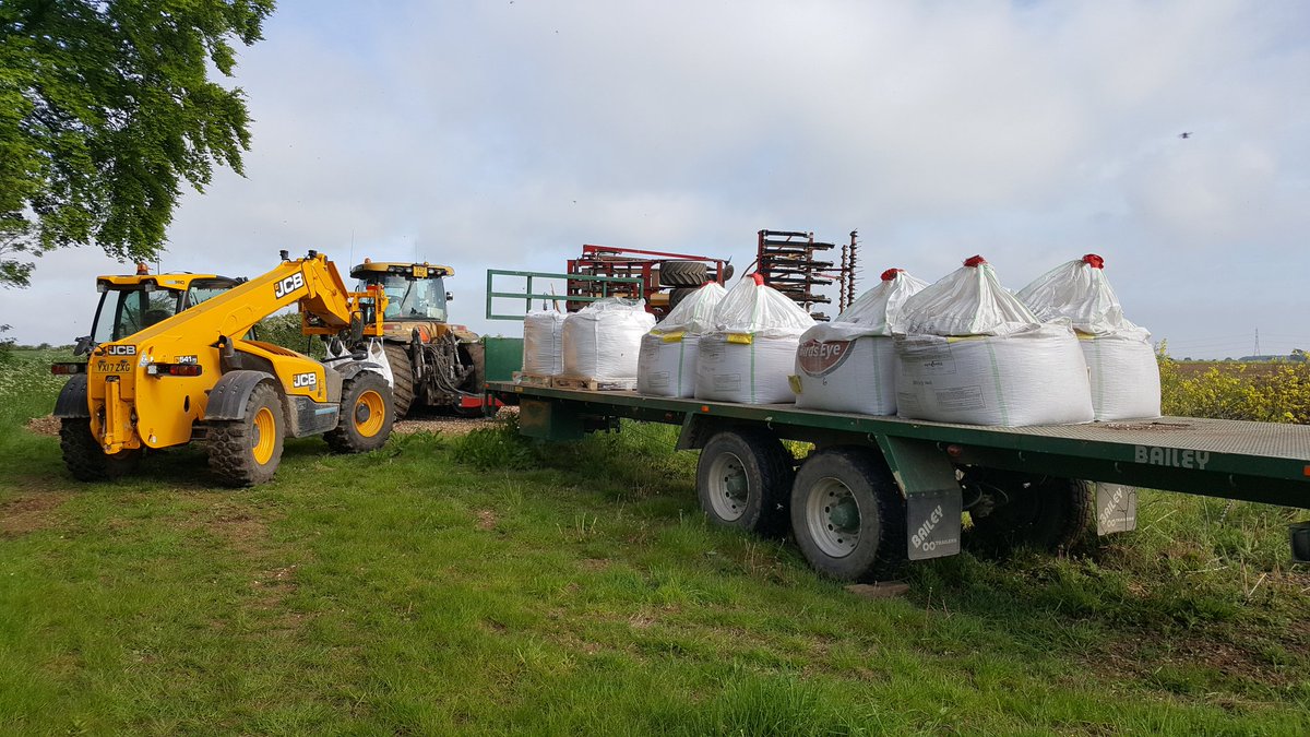 robertjyardley's tweet photo. Last of the @BirdsEyeUK peas going in today..@AGCOcorp #CatChallenger #TerraTech @JCBAgriculture #Peas #Drilling #farm365 https://t.co/yGGvQPLFpL