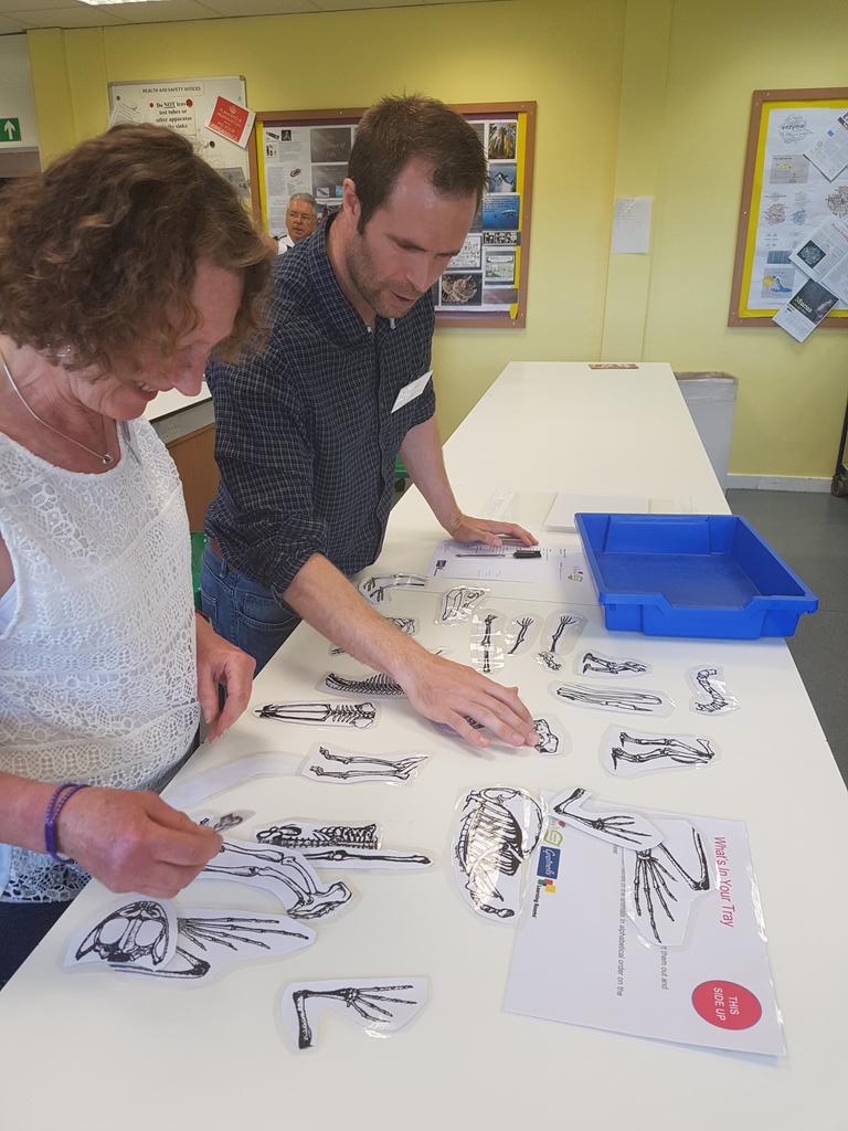 ASETechs's tweet image. What&apos;s in my tray with @DrBiol. Lots of interesting experiments! #techconf #techniciansrule