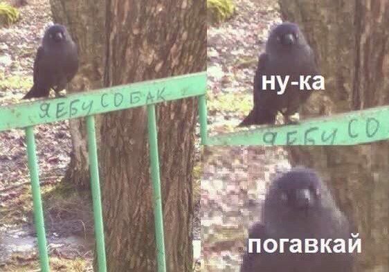 Боже почему я ору с этого