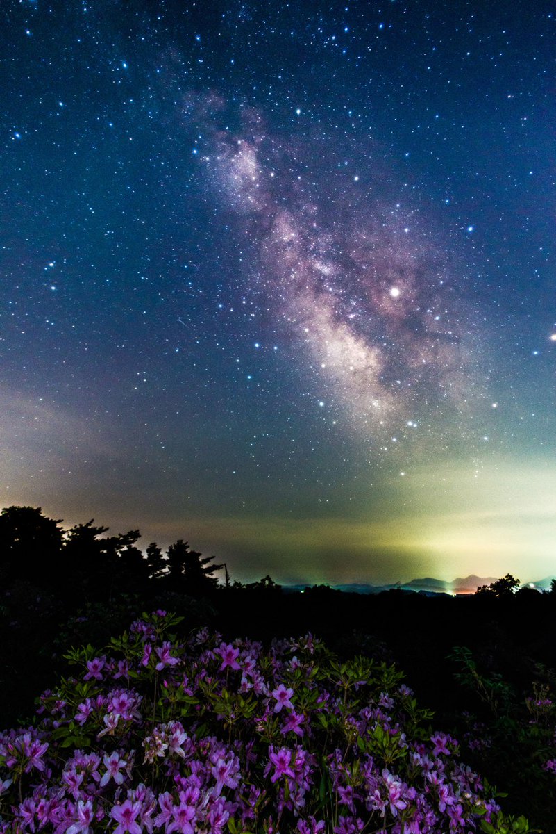 へたっぴ写真家 奈良県山添村 ツツジと茶畑と展望台と天の川 17年5月撮影 Milkydelic 山添村 山添村観光協会さんのツイッター背景で写真を使用いただいている手前 宇陀で星空を撮って山添に行かないわけにはいかんと思い ちょっと寄ったらツツジも