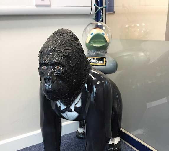 ShredDuckRogers's tweet photo. My new coach @ShredStationLtd is this chap. He has me in full training for the @norwichduckrace #GNDR17 https://t.co/CYV4uVmaNu