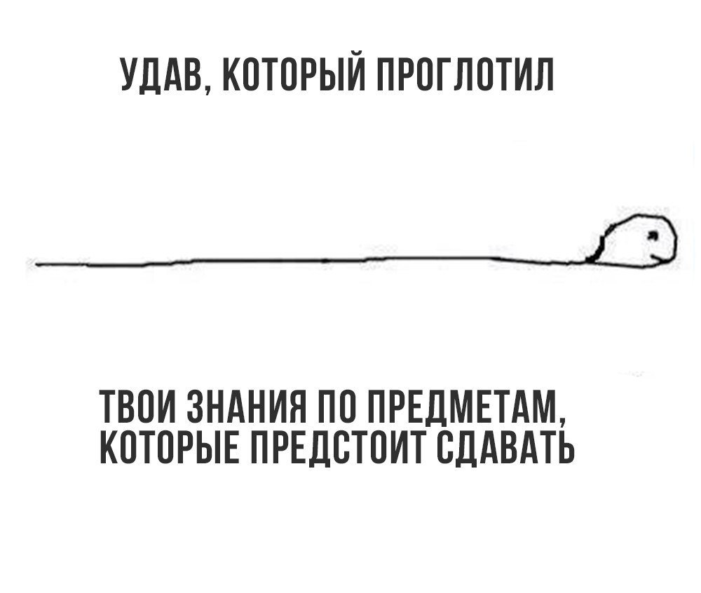 StudOtvet (@studotvet) on Twitter photo 