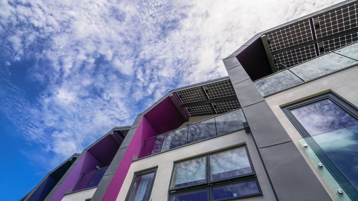 Zedfactory tweet media