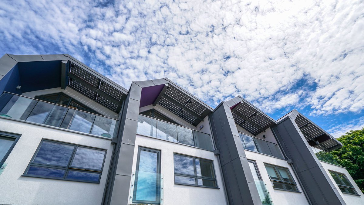 Zedfactory tweet media