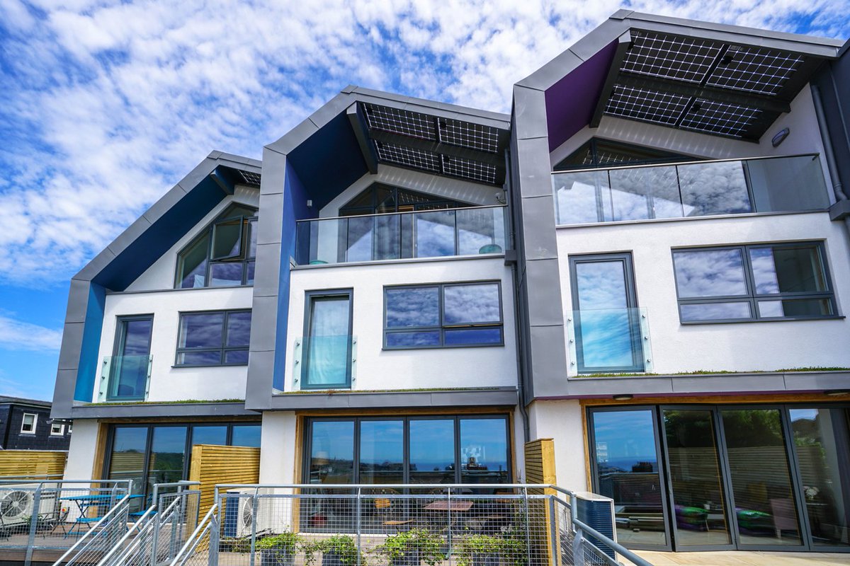 Zedfactory tweet media