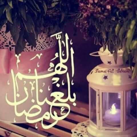 OsmanMhamad5's tweet photo. https://t.co/1VR2p9wuhR