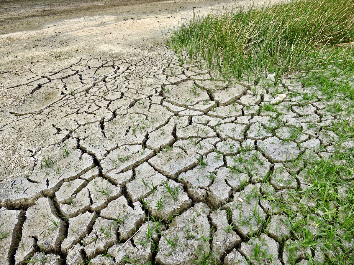 Cunde la preocupación en el olivar andaluz. Tres años sin apenas lluvias <a href="/COAGANDALUCIA/">COAG ANDALUCIA</a> cope.es/noticias/jaen/…