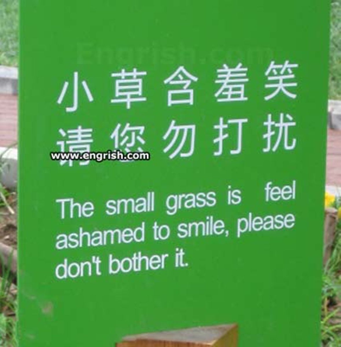 LinguisticaUK's tweet photo. Do not bother it.  😂 

#Translation #Fail https://t.co/cJCULGXSJx