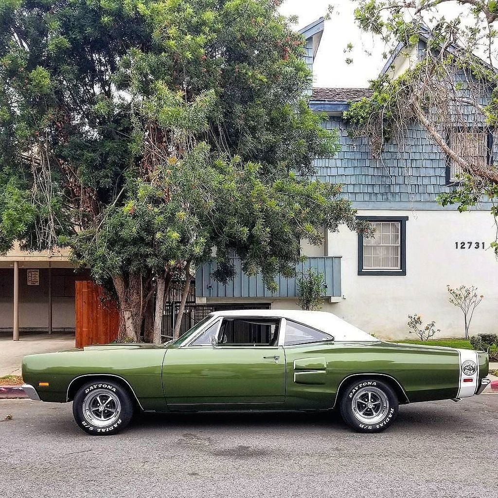 ClassicCarCorra's tweet photo. from @mopar.legends - Beautiful 69 Super Bee!
Owned by>@froyourmind
#69SuperBee
#Dodge
#pin
#twitter - #regrann https://t.co/ySR2QGXKyj https://t.co/rkhelW3Dls