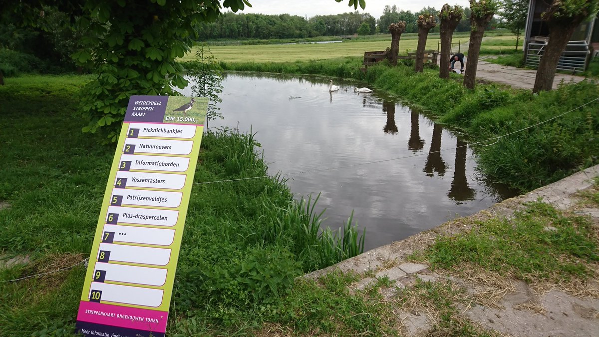 KoorevaarJeroen's tweet photo. @IODS_ZH @HoeveAckerdijk @zuid_holland @Weidevogels_MD @Nico_deHaan @floorvermeulen Het was een mooie ochtend bij @HoeveAckerdijk. Mooi om te zien hoe er met de weidevogels geboerd wordt. 👍 https://t.co/csJjjwXx58