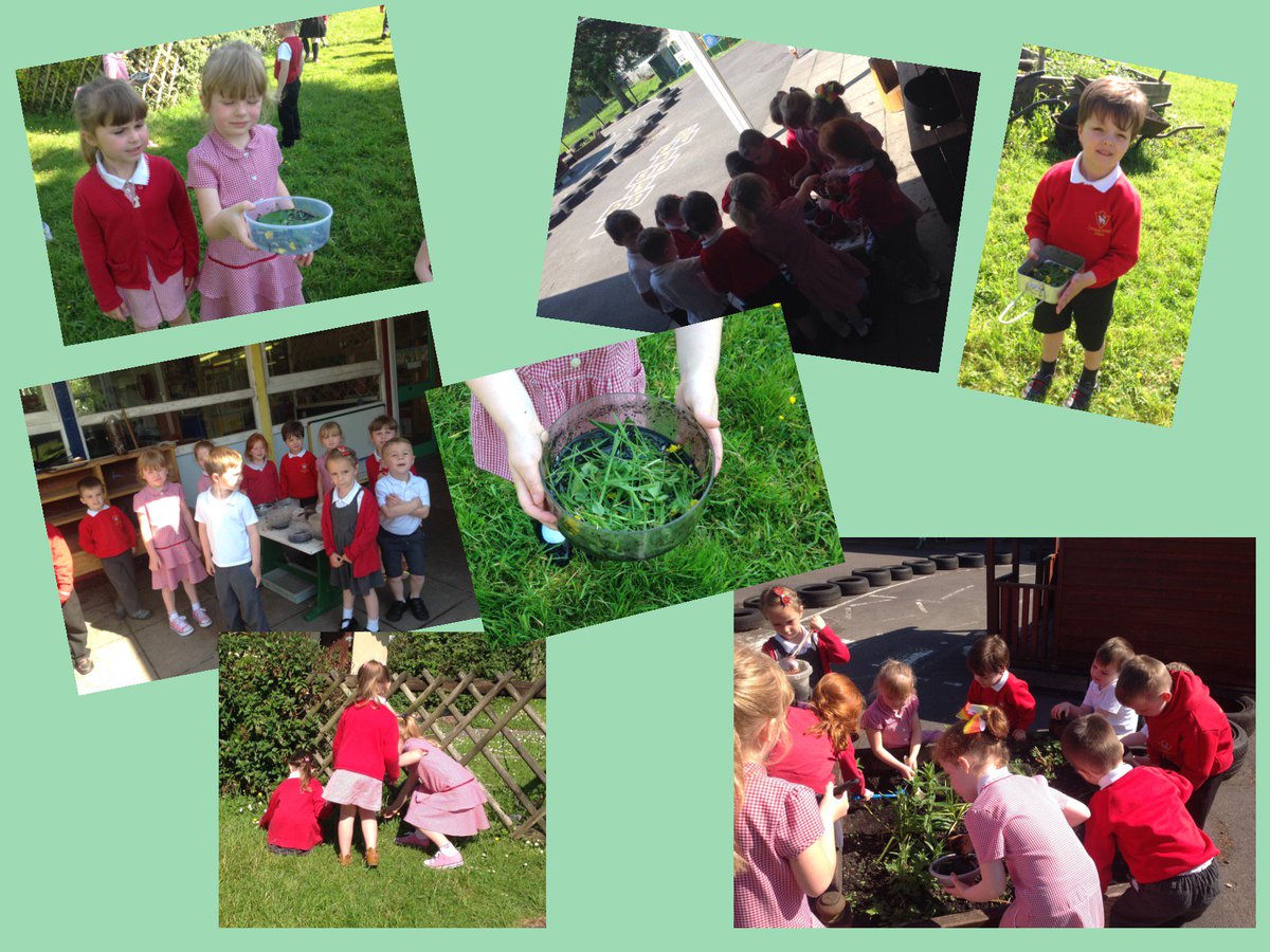 CwmneddPrimary1's tweet photo. Today we have been making a kindness potion #mudkitchen # #messyfun #reception #morfaglas https://t.co/Iy2ZZDlwAo