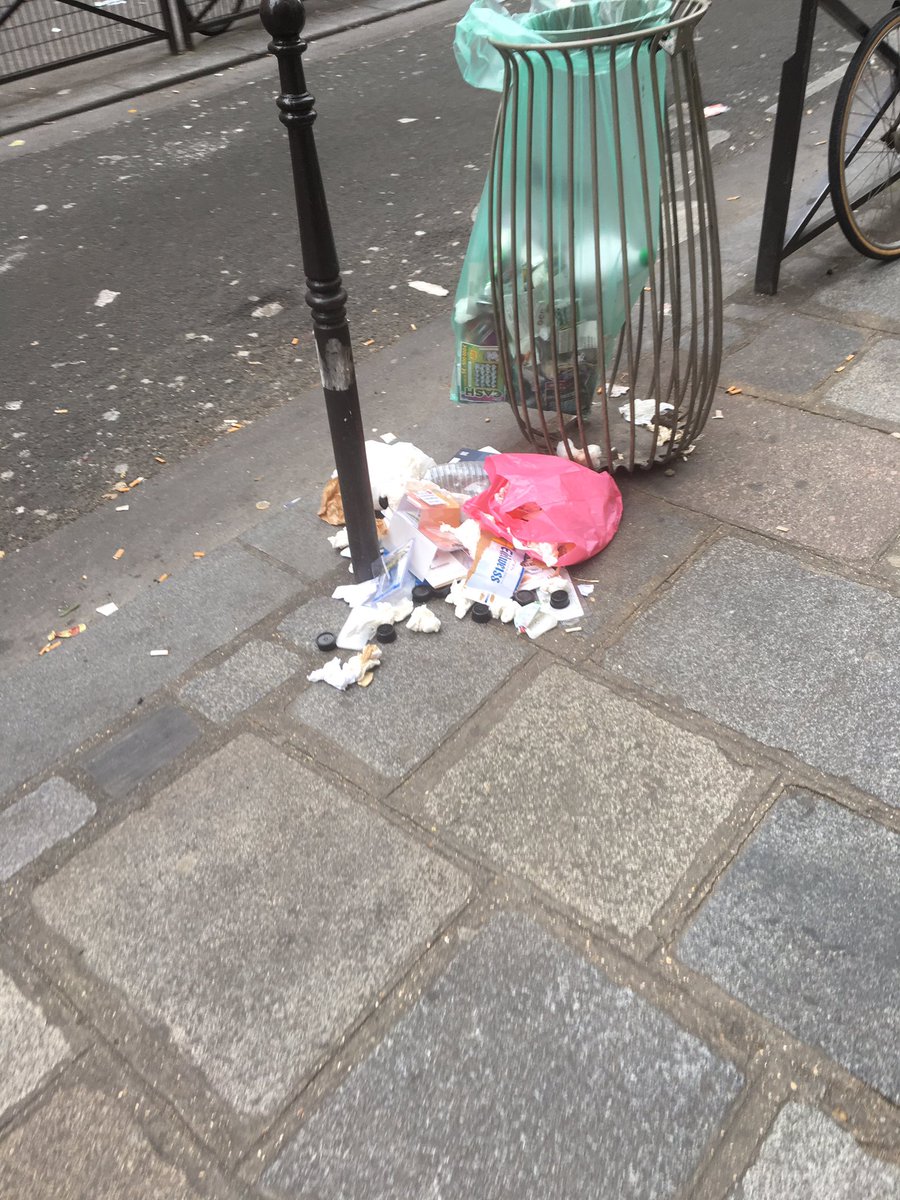 Que comptez vous faire?<a href="/RemiFeraud/">Rémi Féraud</a> <a href="/Anne_Hidalgo/">Anne Hidalgo</a> #proprete #paris #jeuxolympiques #hygiene