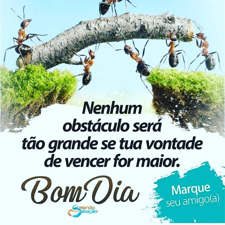 Socorro Galvão (@sosgalvao7) on Twitter photo 