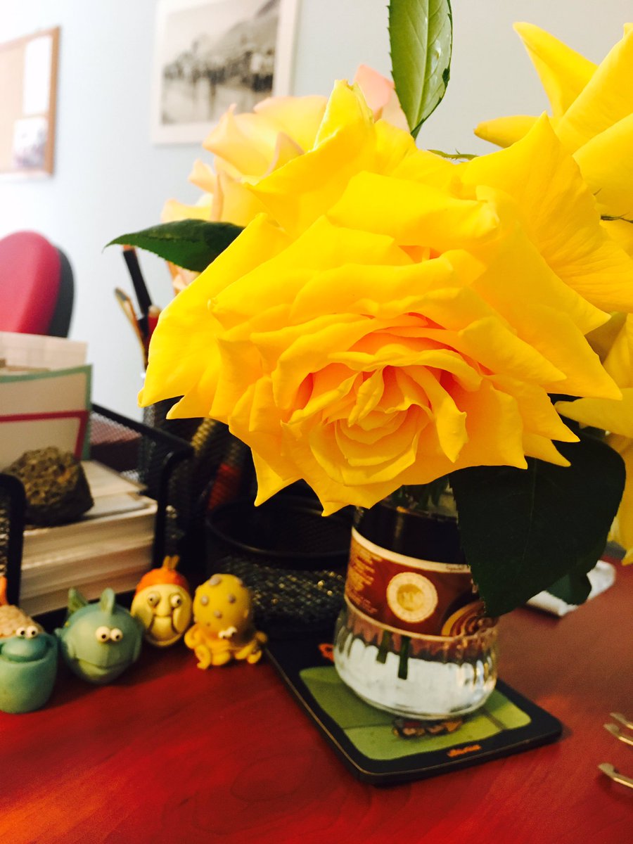 birsss's tweet image. Ofisimizin çok tatlış erkekleri var ^.^ #terralab