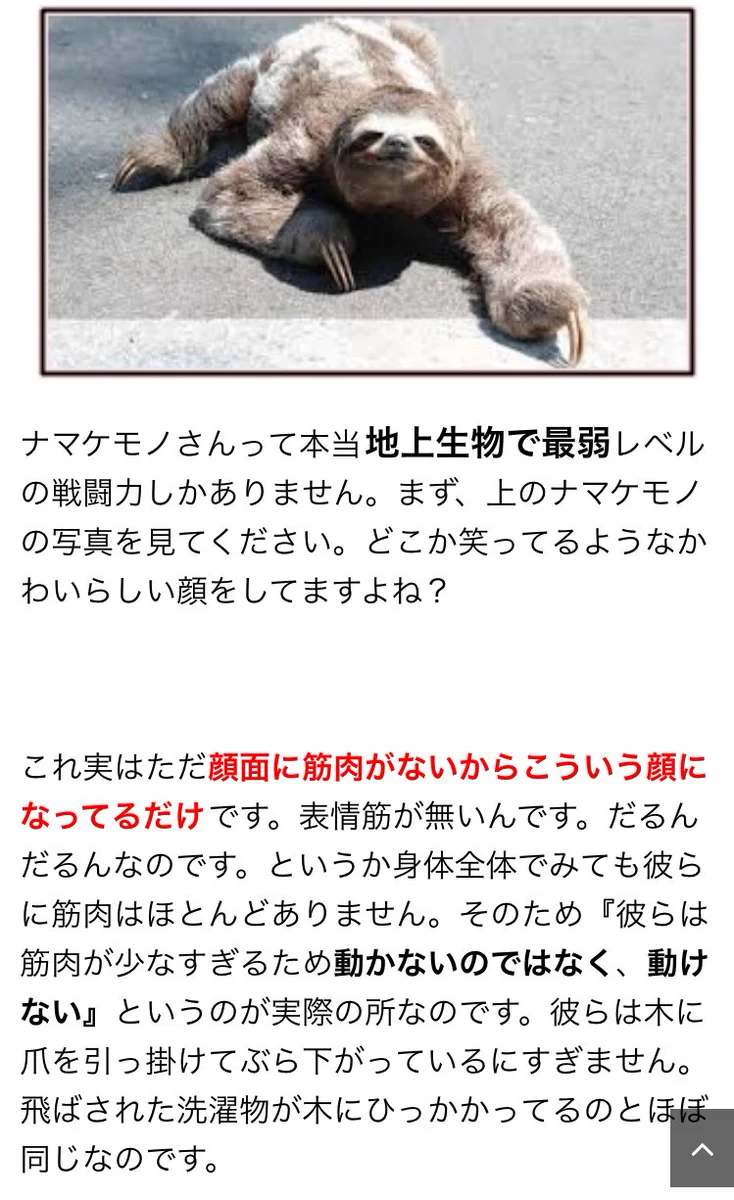 これは笑うしかないwwナマケモノの生態がおもしろすぎてしんどいww