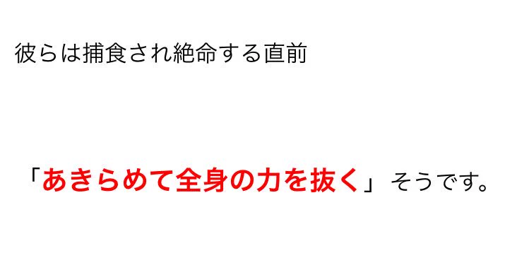 これは笑うしかないwwナマケモノの生態がおもしろすぎてしんどいww