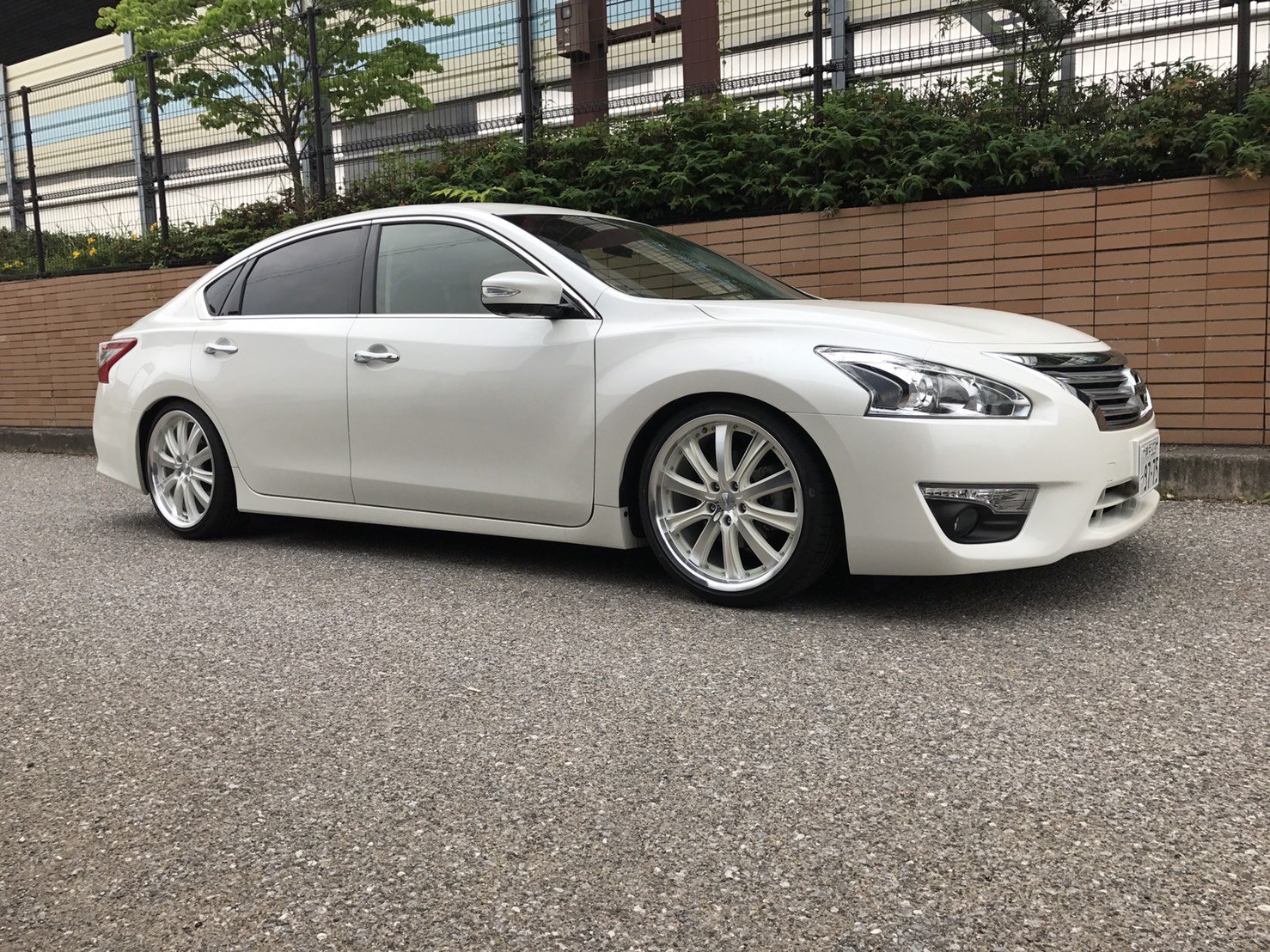 ひ こ 固定 日産l33ティアナ 19インチ35 車高調ラルグス フロント全下げ リアほぼ全下げ 来年レオンハルトかvossenの欲しいなー 本間は被せたい 納車から約3ヶ月 車高調注文から約3ヶ月やっときた もーちょいさがれよww 腹下5 5 センチ位 マダマダ ひ こ 固定 日産l33ティアナ 19インチ35 車高調ラルグス フロント全下げ リアほぼ全下げ 来年レオンハルトかvossenの欲しいなー 本間は被せたい 納車から約3ヶ月 車高調注文から約3ヶ月やっときた もーちょいさがれよww 腹下5 5 センチ位 マダマダ