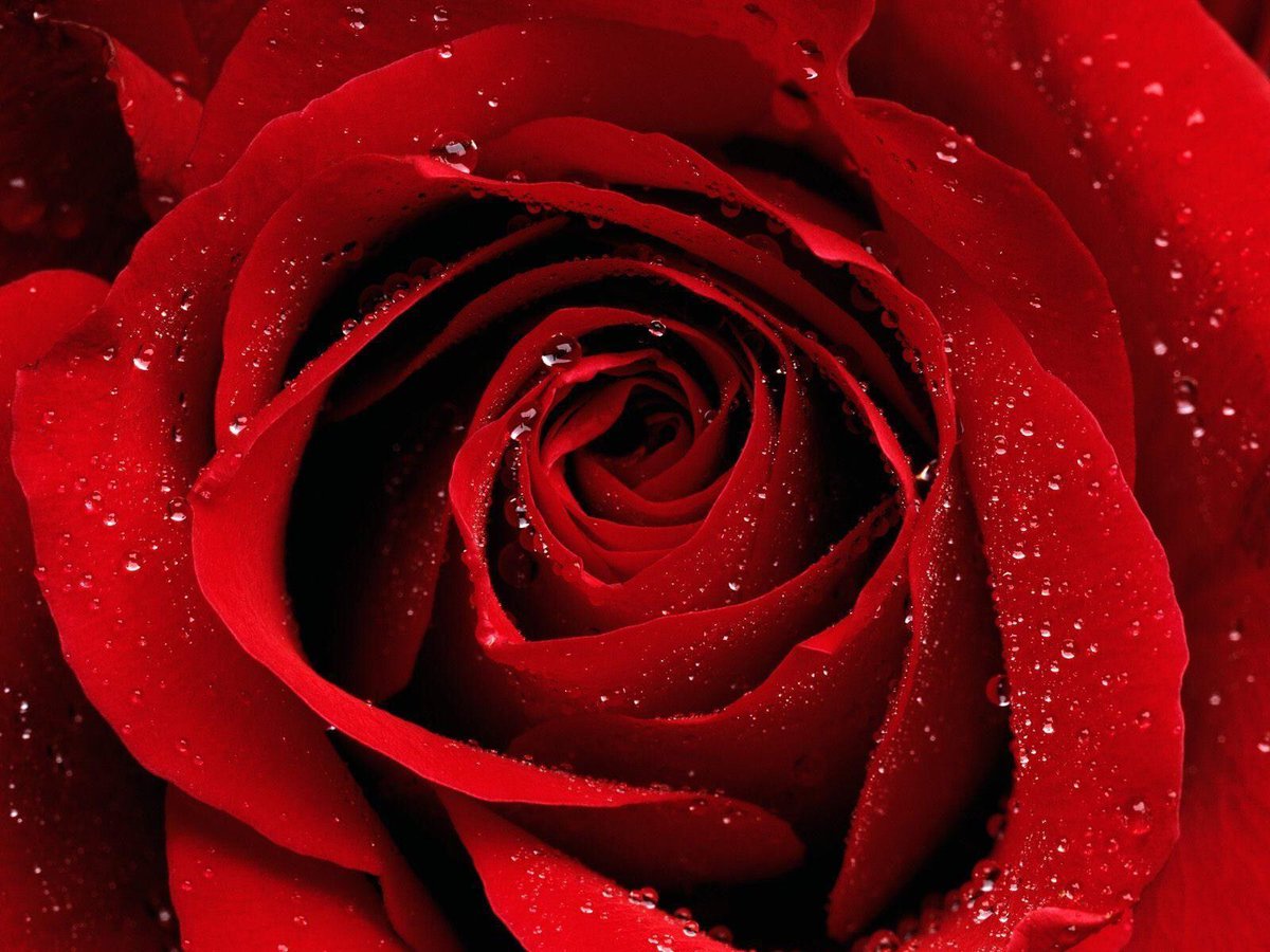 inspirevalley's tweet photo. Let us always meet each other with smile, for the smile is the beginning of love

— Mother Teresa https://t.co/idZfmYeT6u