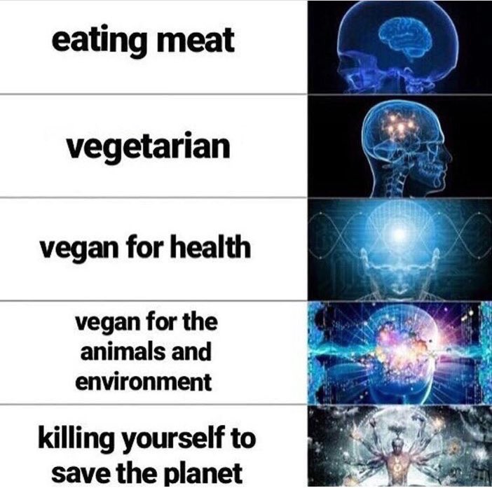 Meme Gallery (@thememesgallery) on Twitter photo 