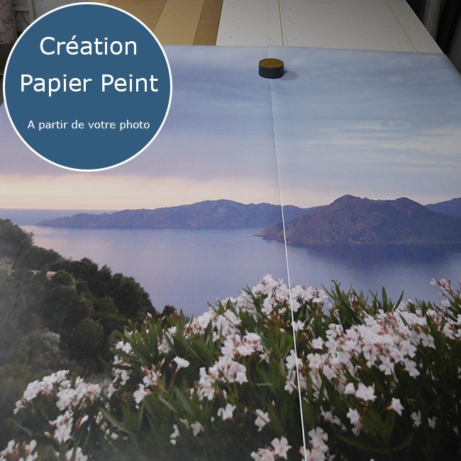 ePapierPeint's tweet photo. CRÉATION DU JOUR : Papier Peint sur-mesure depuis une photo client #personnalisation #papierpeint #deco => RDV sur : https://t.co/tzdXlN6FVE https://t.co/840tS37hXP
