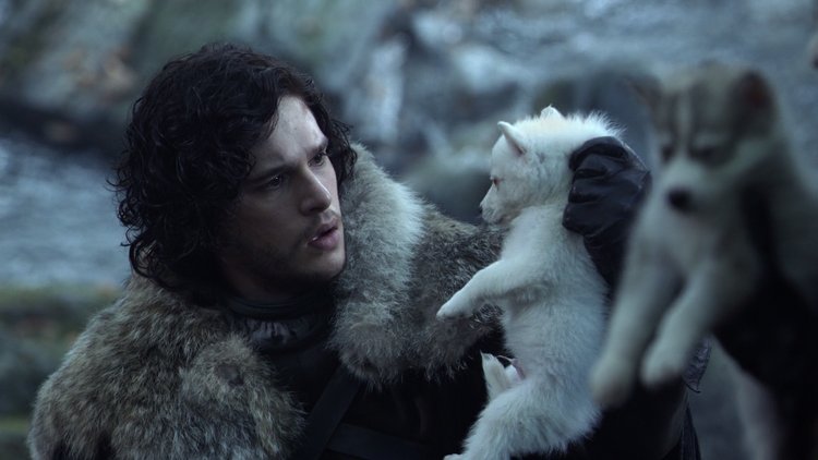 Morre Ghost Lobo Fantasma Jon Snow Game Thrones Estado De Minas