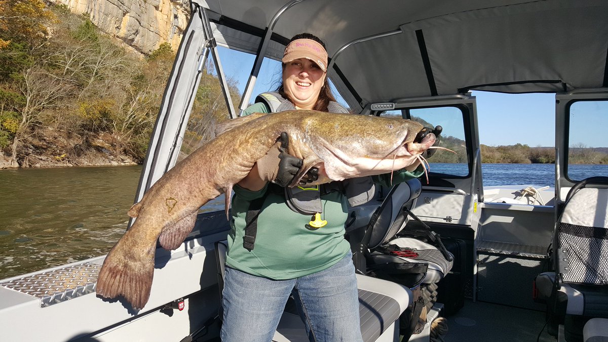 Maximum Catfishing tweet media