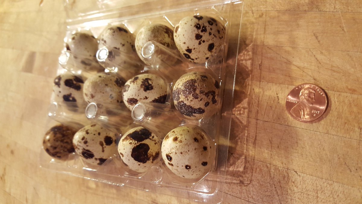 Looking for a good recipie for quail eggs I found for sale Blue Lantern coffee house. #360picks